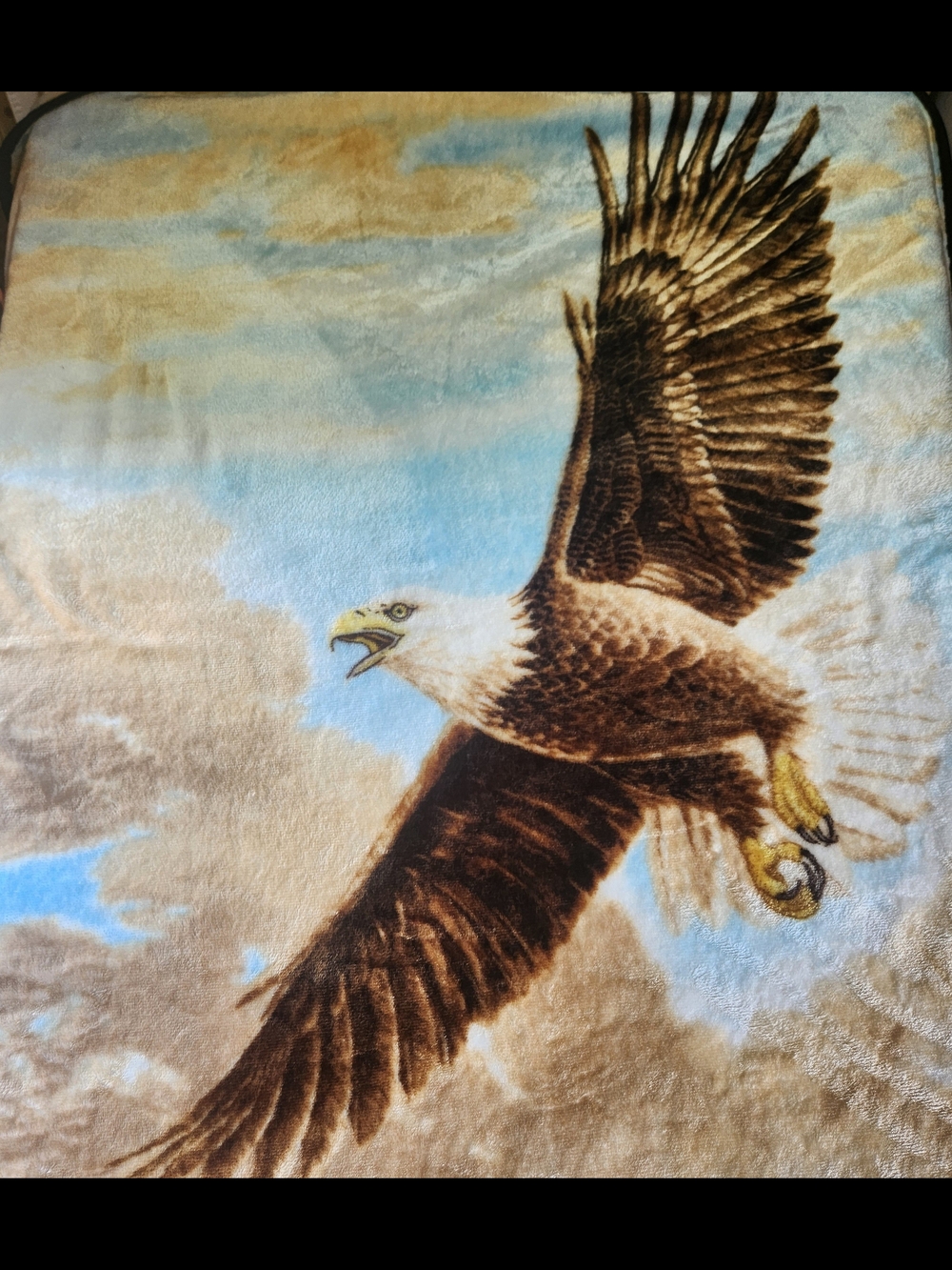 Eagle Print Plush Throw Blanket in Blue and Brown